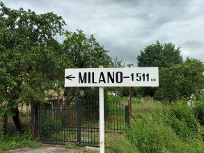 2619105