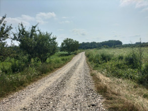 2645991